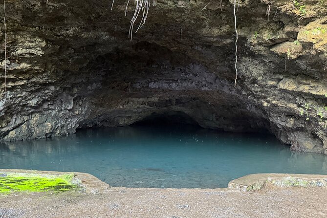 Explore Tahiti in depth in a day - Fa’aone lunch with local flavors