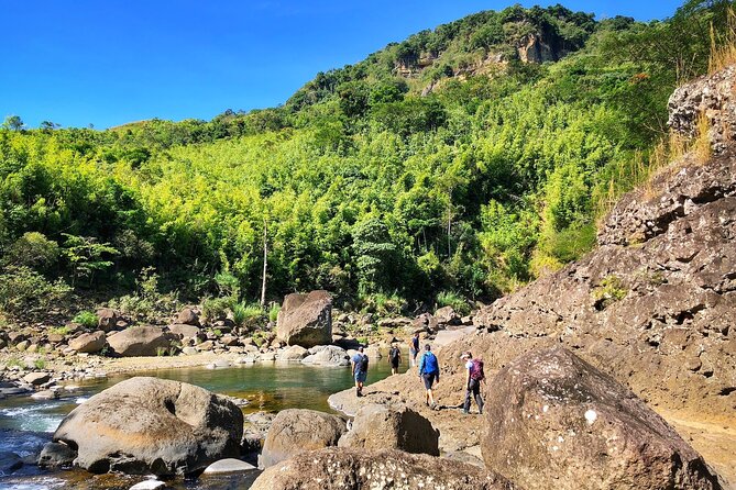 Fiji 2 Night Hiking Adventure and Cultural Experience - Day two: a 12-kilometer trail through grassland and forest