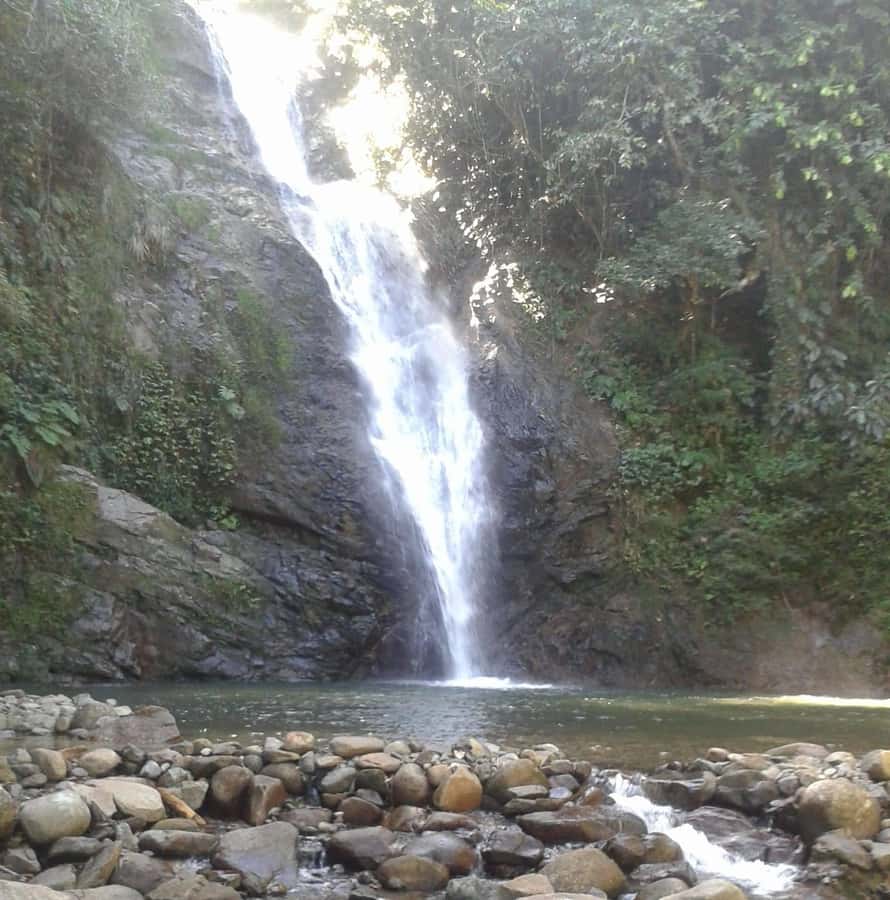 Fiji: Biausevu Waterfall and Sigatoka Sand Dunes Tour - The rainforest walk to Biausevu Waterfall
