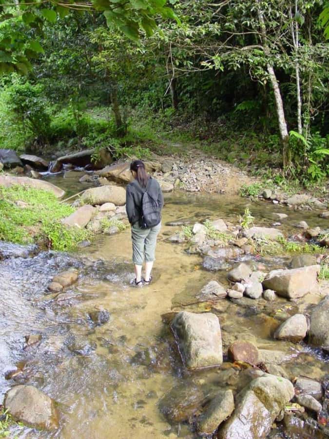 Fiji Biausevu waterfall & Village Tour - FAQ