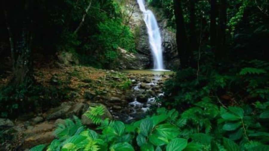 Fiji Biausevu waterfall & Village Tour - Optional horseback riding in Biausevu