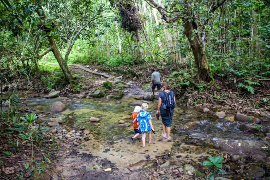 Fiji Biausevu waterfall & Village Tour - Is $119 good value?