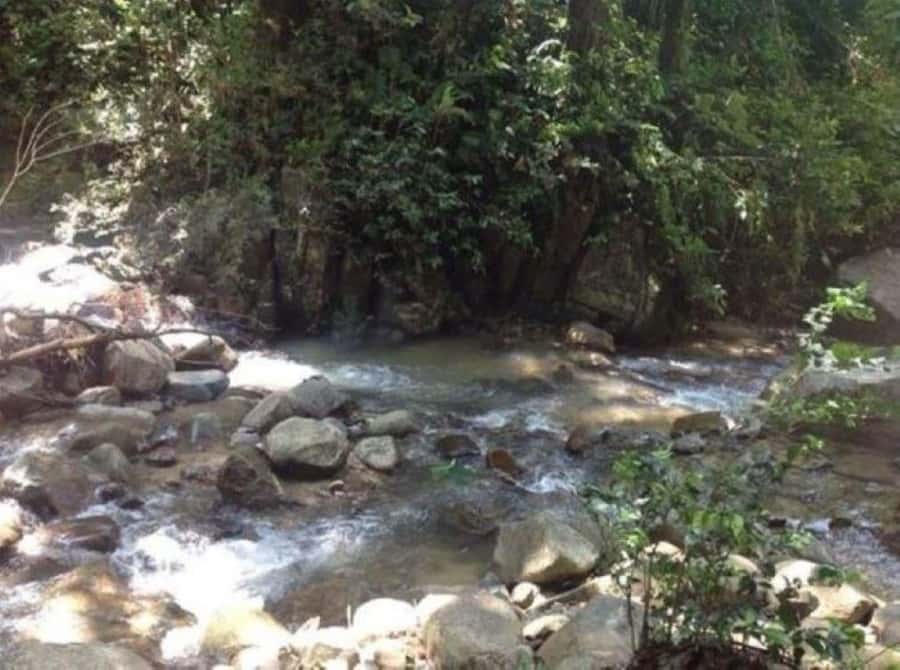 Fiji Biausevu waterfall & Village Tour - Who will enjoy this Fiji outing?