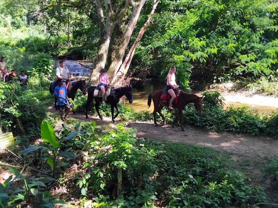 Fiji Biausevu waterfall & Village Tour - A village visit with kava and local customs