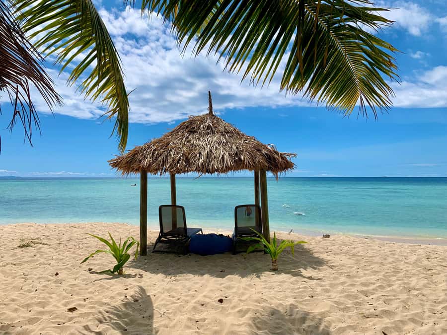 Fiji: Captain Cook Cruises - Island & Reef Day Trip - Reef time with marine biologists