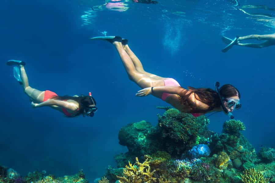 Fiji: Captain Cook Cruises - Island & Reef Day Trip - The buffet lunch and Fijian welcome