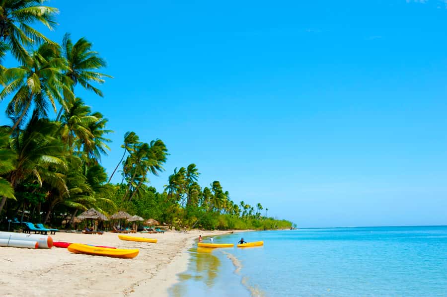 Fiji: Cultural Island Adventure & Jungle Cruise Experience - Who will get the most from this island day
