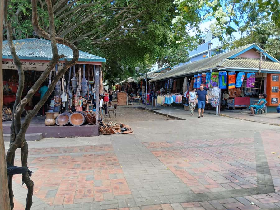 Fiji: Discover Nadi with Sabeto Hotspring and Mudpool Tour - From Hindu temple towers to Nadi’s market stalls
