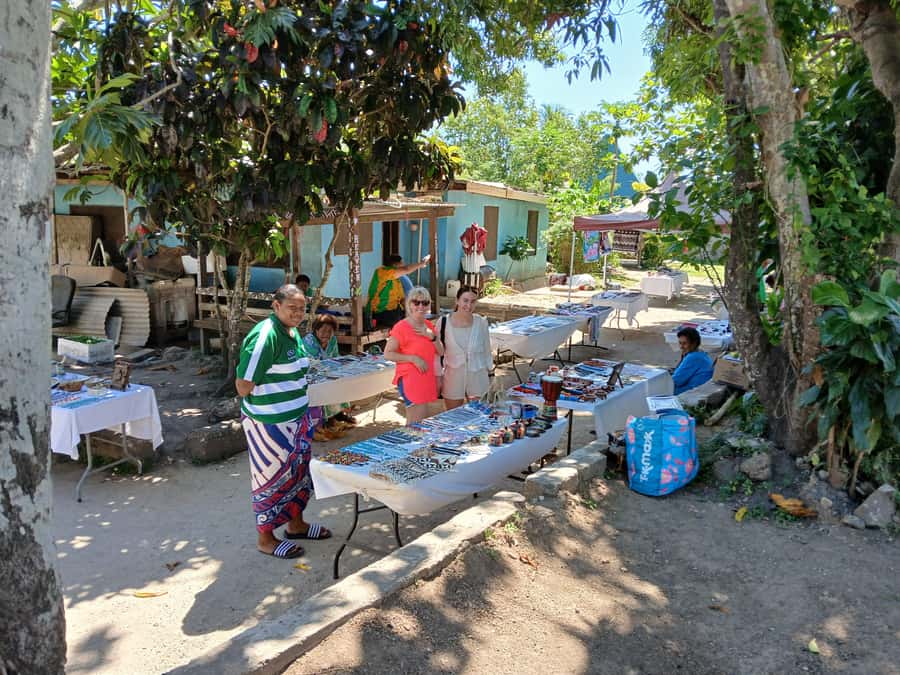 Fiji: Discover Nadi with Sabeto Hotspring and Mudpool Tour - The value of $91, including transport and admission