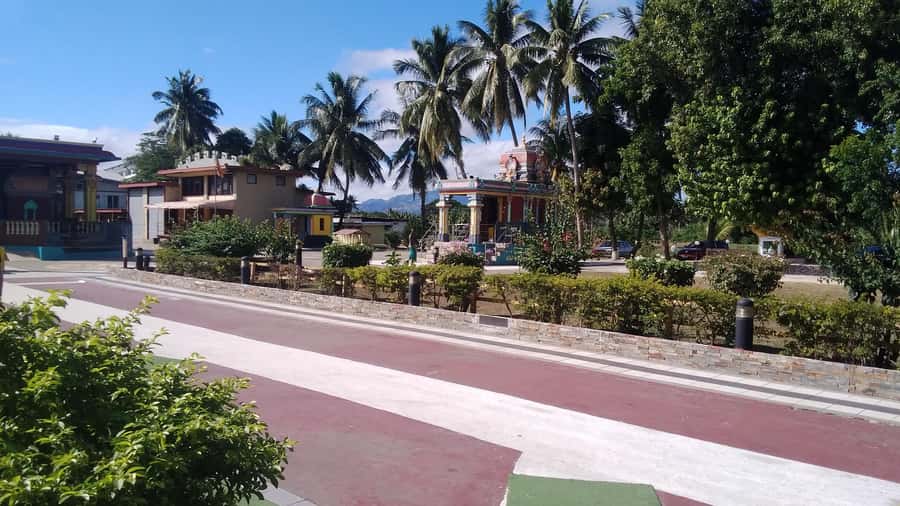 Fiji: Discover Nadi with Sabeto Hotspring and Mudpool Tour - Who will get the most from this outing