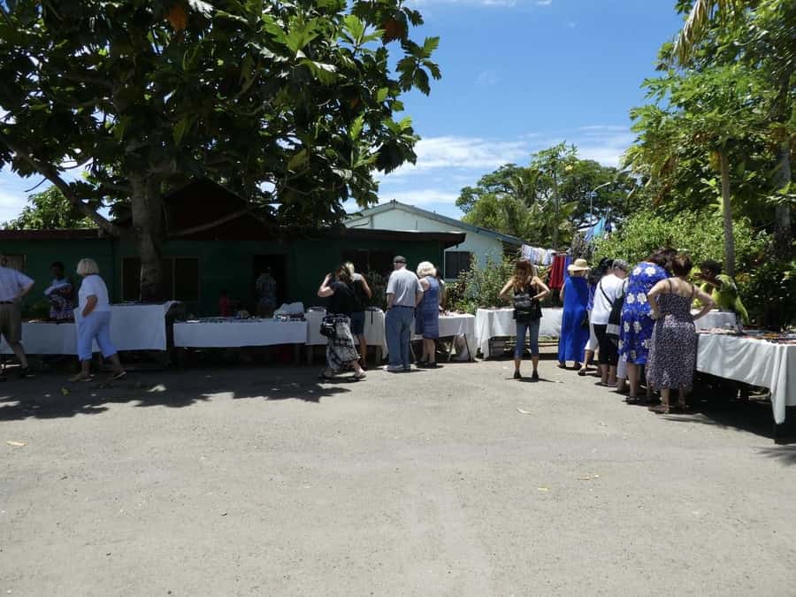Fiji: Discover Nadi with Sabeto Hotspring and Mudpool Tour - Should you book the Nadi mud pool tour?