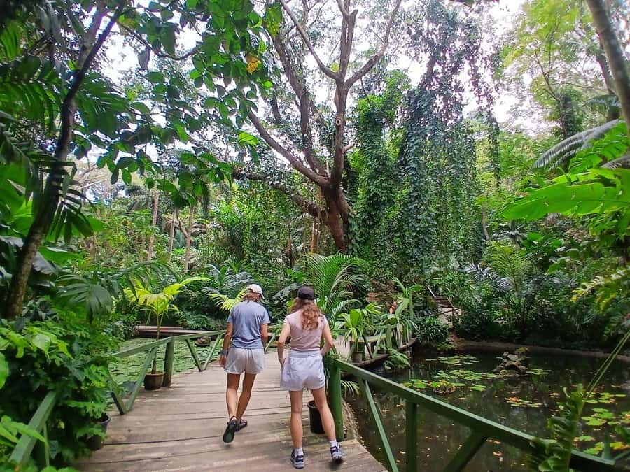 FIJI: Garden of the Sleeping Giant - Key points to know before you go