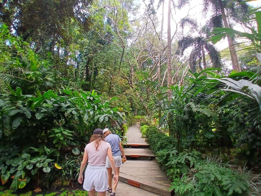 FIJI: Garden of the Sleeping Giant - How the garden compares with a beach day