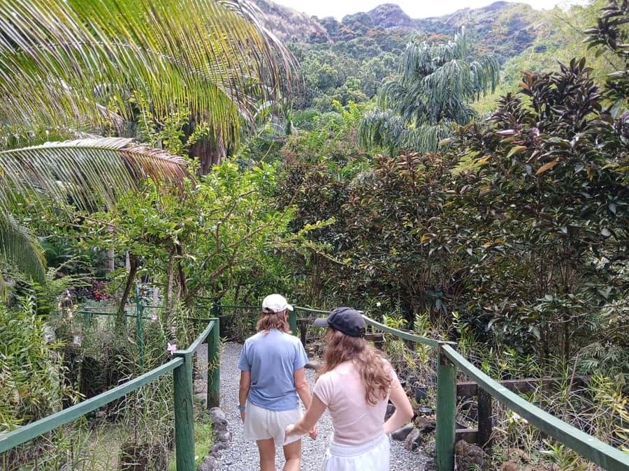 FIJI: Garden of the Sleeping Giant - The orchid collection: the garden’s main event