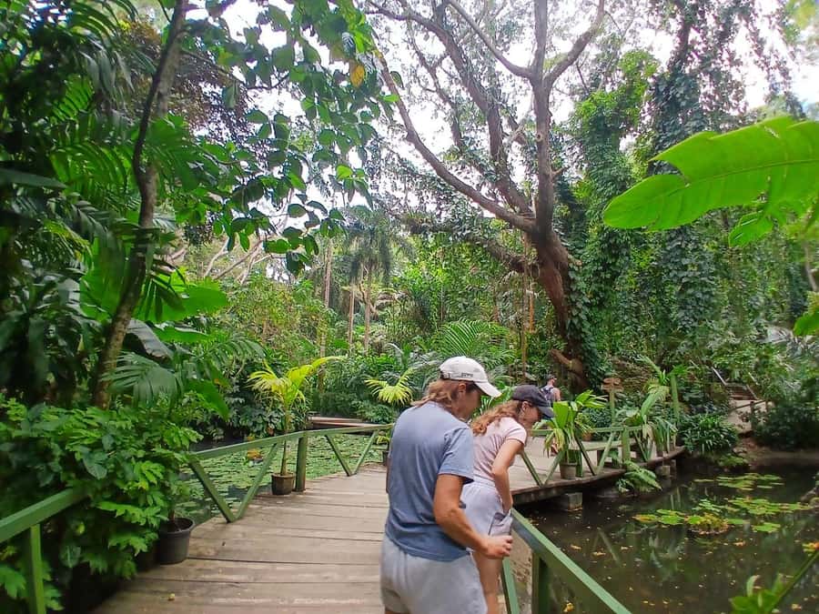 FIJI: Garden of the Sleeping Giant - The lily pond and native forest walk