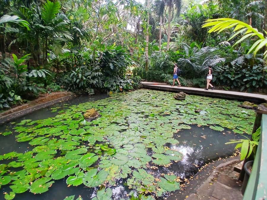 FIJI: Garden of the Sleeping Giant - The lookout hike and the pace of the visit