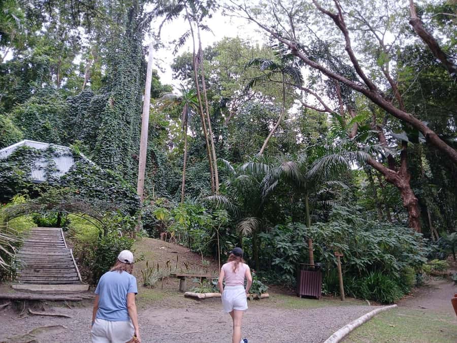 FIJI: Garden of the Sleeping Giant - Tropical refreshment and a possible picnic
