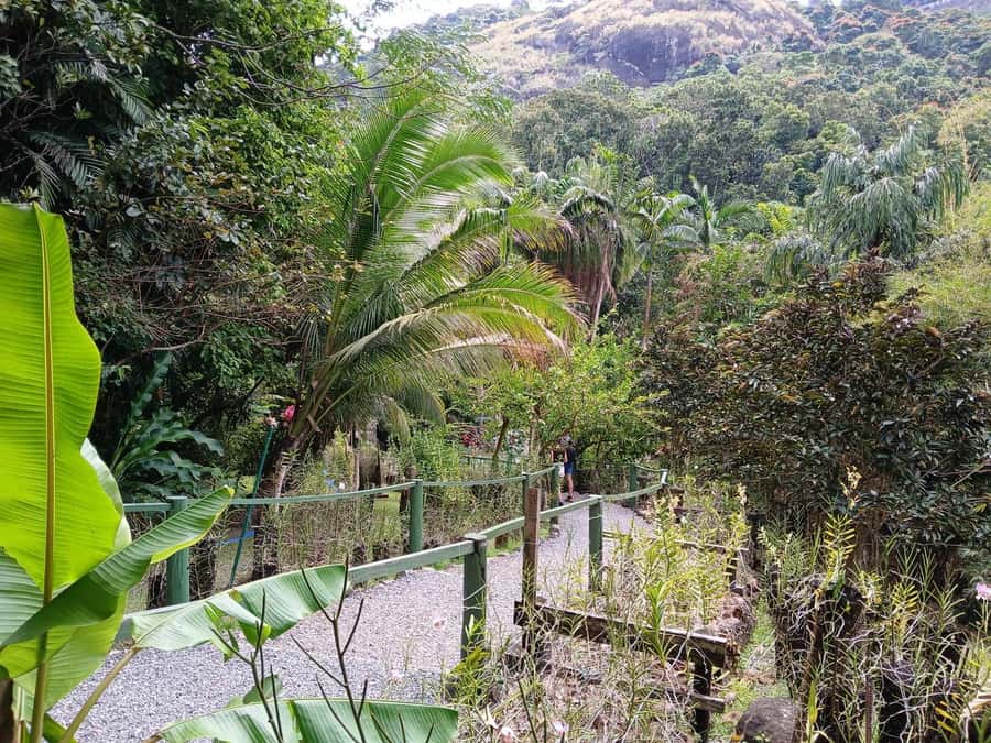 FIJI: Garden of the Sleeping Giant - What the $27 price really buys you