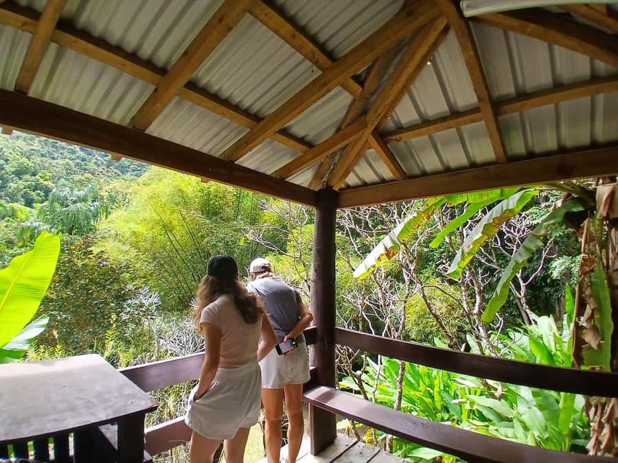 FIJI: Garden of the Sleeping Giant - The drive through Sabeto Valley