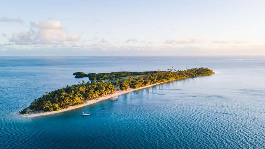 Fiji: Half-Day Island Activities Tour with Jungle Cruise - The jungle cruise sets the tone