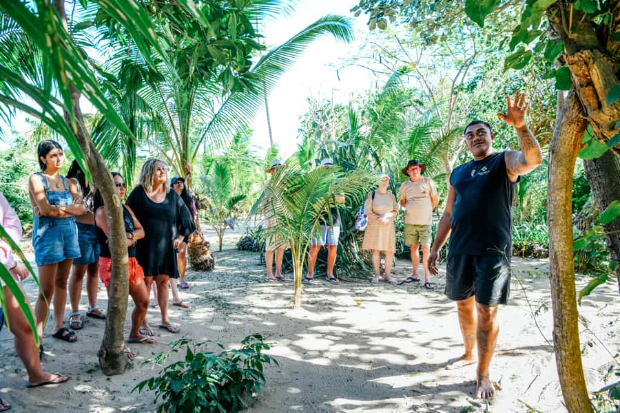 Fiji: Half-Day Island Activities Tour with Jungle Cruise - Weaving, carving, pottery, and coconut skills