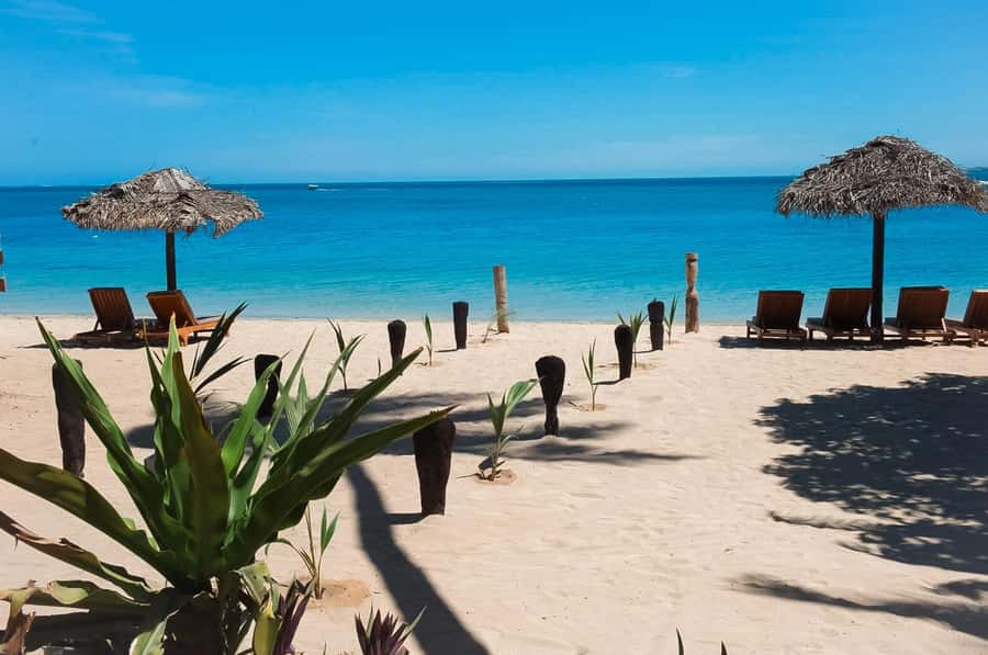 Fiji: Half-Day Island Activities Tour with Jungle Cruise - Breakfast, tea, and a short welcome