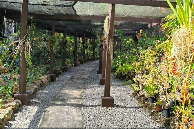 Fiji Lautoka Shore Excursions Tour - Who will enjoy this Lautoka outing most