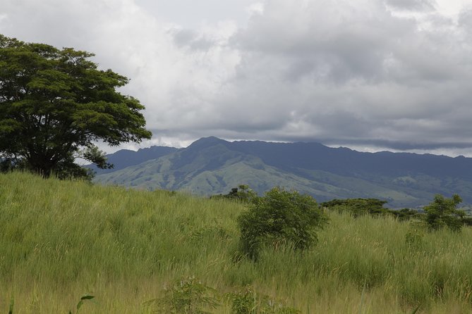 Fiji Local Village, Market, Temple & Garden of Sleeping Giant with Mud Pool Tour - A compact tour with a very muddy finish