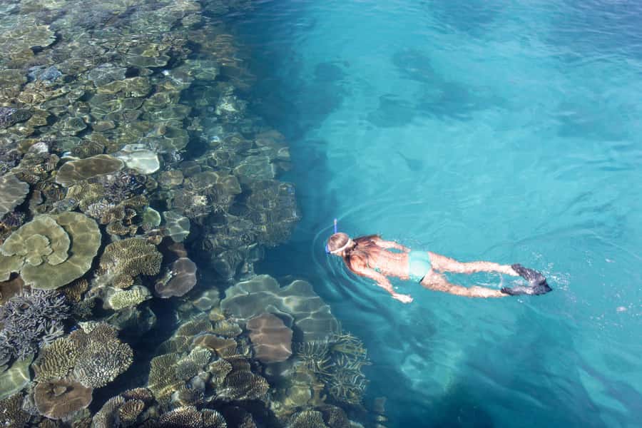 Fiji: South Sea Island Combo Half Day Trip Lunch & Drinks - Key points to know before booking