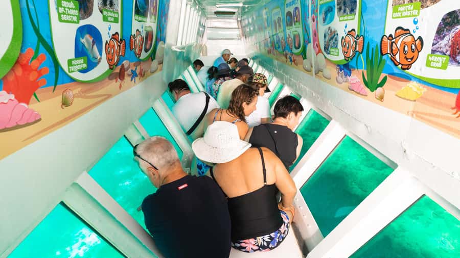 Fiji: South Sea Island Combo Half Day Trip Lunch & Drinks - Booking details worth knowing