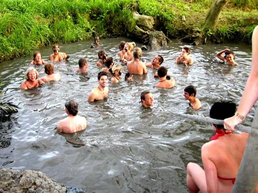 Fiji: Tifajek Mud Pool & Hotspring Tours & Tickets - The natural mud wrap and pool bath