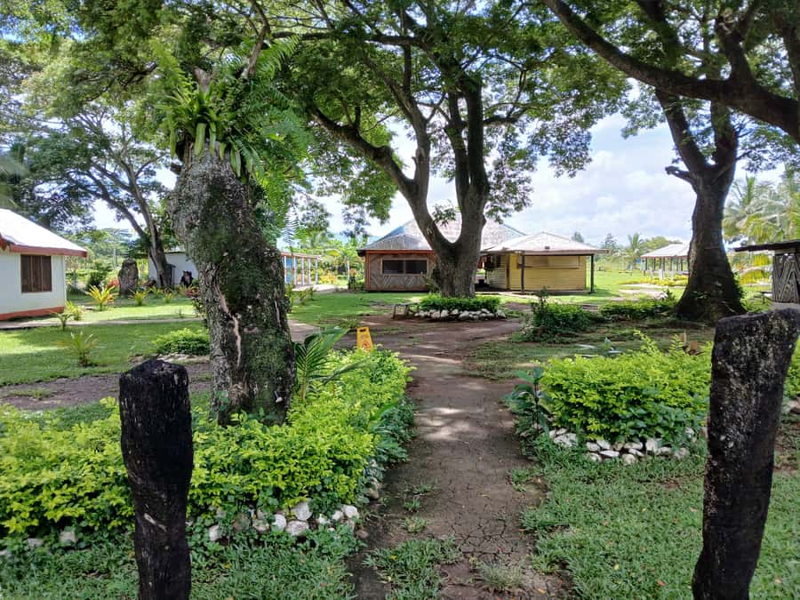 Fiji: Tifajek Mud Pool & Hotspring Tours & Tickets - The guide and the pace of the visit