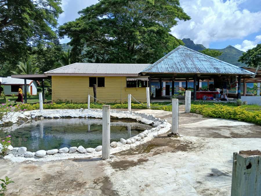Fiji: Tifajek Mud Pool & Hotspring Tours & Tickets - Is $21 good value?