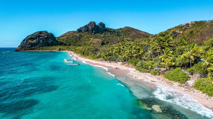 Fiji: Ultimate Encounters Snorkel with Sharks and Lunch - What the water session is really like