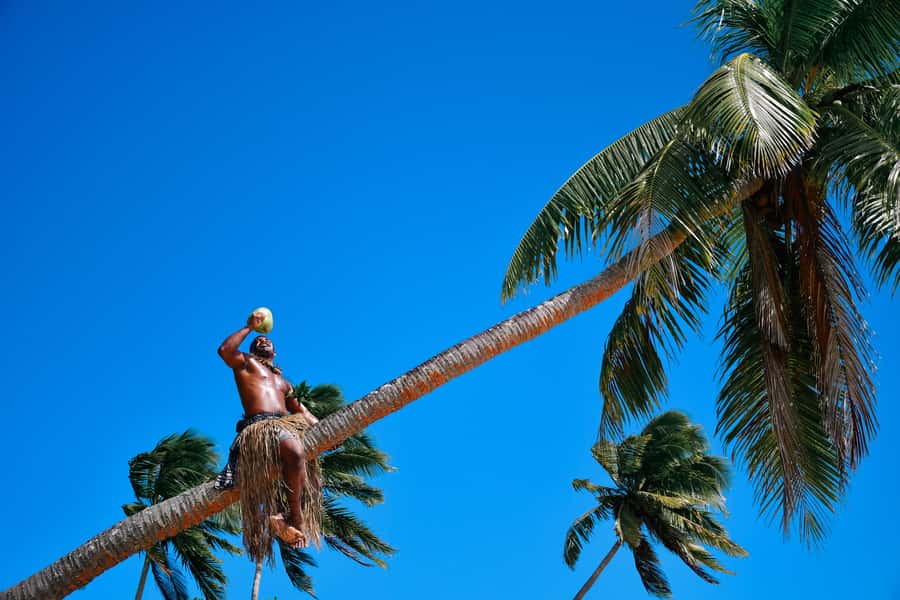Fiji: Village & Mud-Crab Catching Tour - Should you book it?