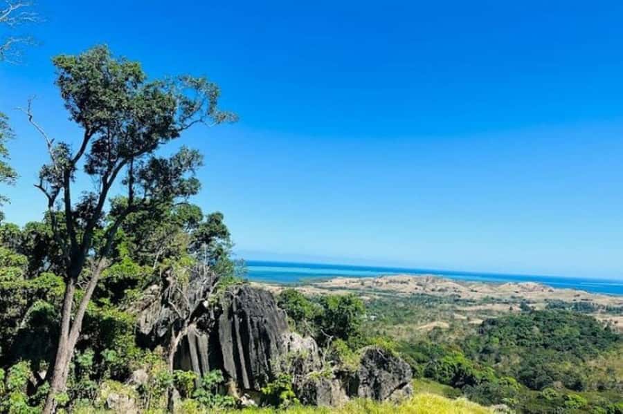 Fiji: Zipline Adventure and Cave Exploration - Who will enjoy this most