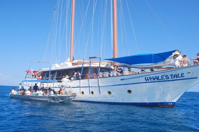 Fijian Islands and Snorkel Full-Day Whales Tale Cruise including Beach BBQ Lunch - Setting sail on the Whale’s Tale from Nadi
