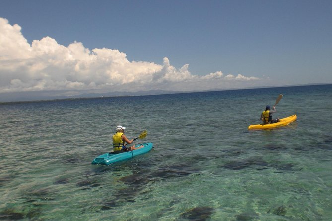 Fijian Islands and Snorkel Full-Day Whales Tale Cruise including Beach BBQ Lunch - A beach BBQ with more than the basics