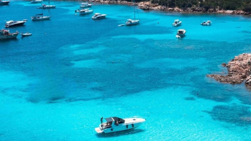 From Palau: Speedboat tour in La Maddalena Archipelago - Who will enjoy this boat trip most?