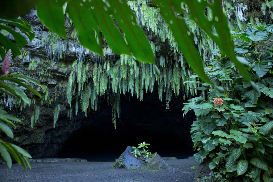 From Papeete: Tahiti Highlights Full-Day Private Tour - Lunch beside the lagoon
