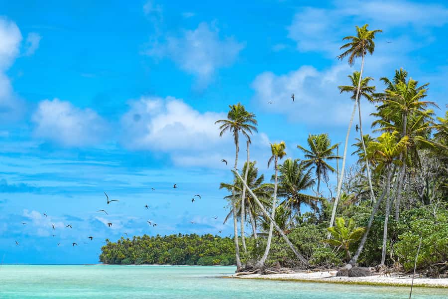 From Tahiti: Tetiaroa Island Tour by Sailing Catamaran - Key points to know before booking