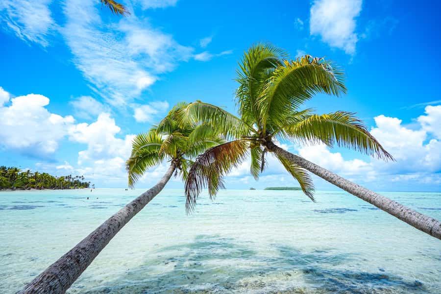 From Tahiti: Tetiaroa Island Tour by Sailing Catamaran - Breakfast and the long crossing to Tetiaroa