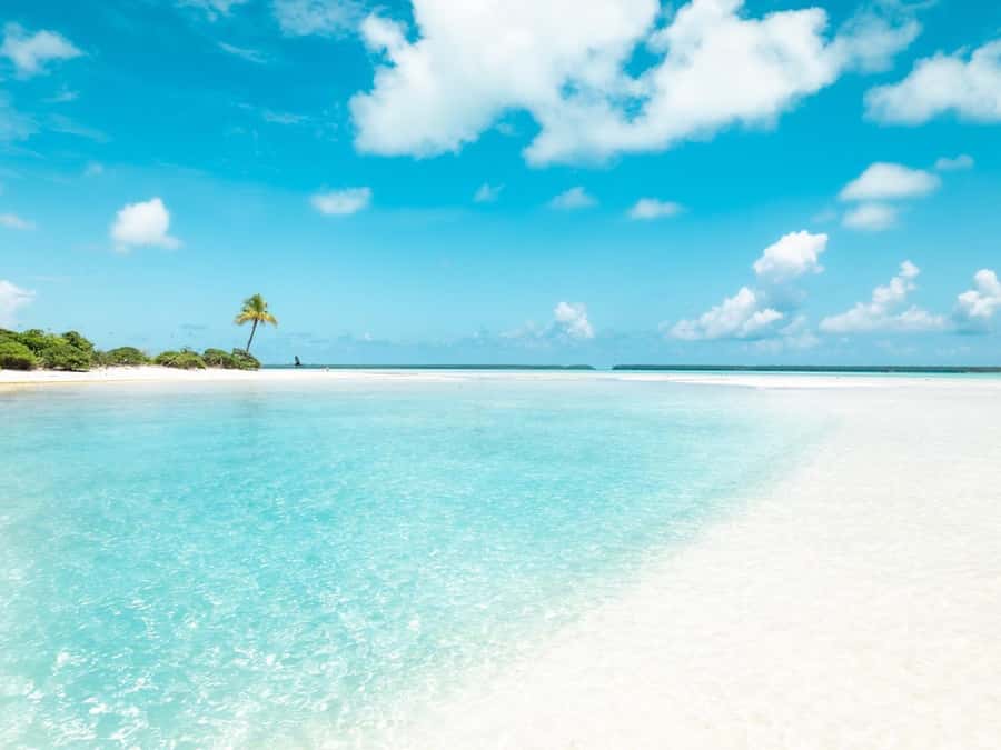 From Tahiti: Tetiaroa Island Tour by Sailing Catamaran - A Tahitian lunch back on the catamaran