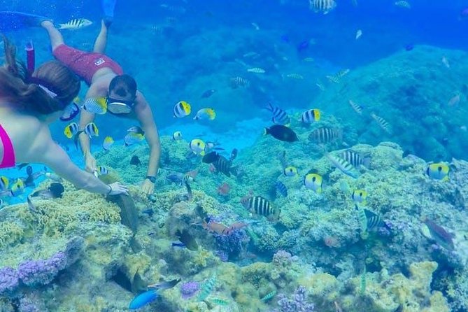 Full-Day Bora Bora Lagoon Cruise Including Snorkeling with Sharks and Stingrays - What the six-hour Bora Bora cruise is really like