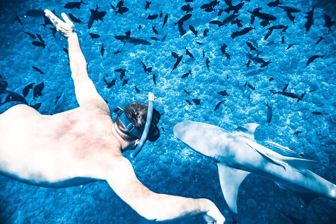 Full-Day Bora Bora Lagoon Cruise Including Snorkeling with Sharks and Stingrays - Searching for manta and eagle rays