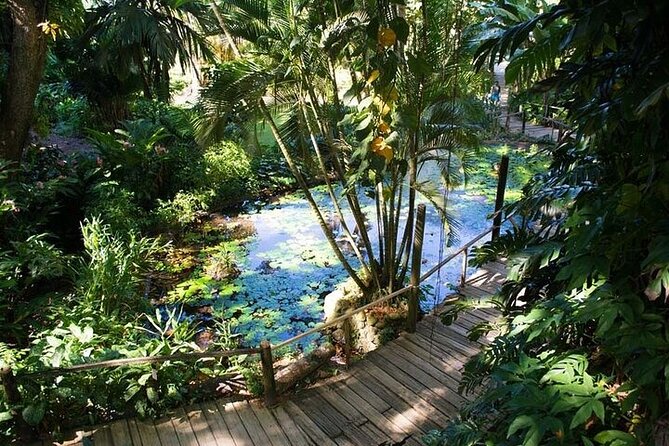 Full Day Discover Nadi Tour ( From Sigatoka Coral coast Hotels ) - Sabeto Hot Springs and Mud Pool