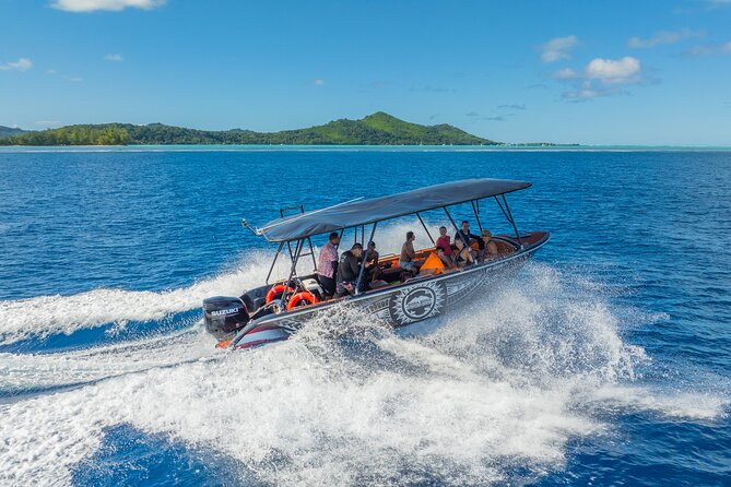 Full Day Eco Snorkeling & Traditional BBQ Lunch on a Motu - The snorkeling stops: rays, sharks, and coral
