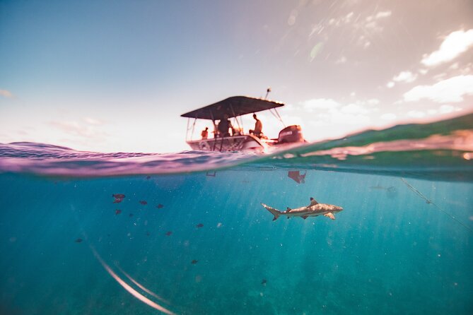 Full Day Eco Snorkeling & Traditional BBQ Lunch on a Motu - Practical details before you book