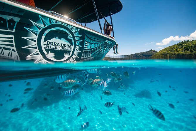 Full Day Eco Snorkeling & Traditional BBQ Lunch on a Motu - Why the small group makes a difference