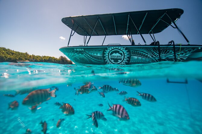 Full Day Eco Snorkeling & Traditional BBQ Lunch on a Motu - What the guides add to the outing